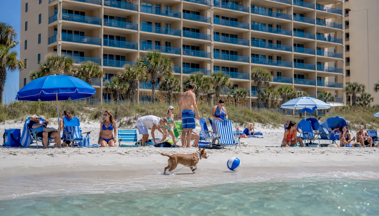 Best Condos Near Pineapple Willy's Panama City Beach Product comparison article